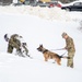 Military Working Dog Demonstration