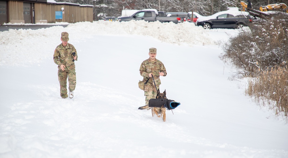 Military Working Dog Demonstration