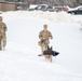 Military Working Dog Demonstration