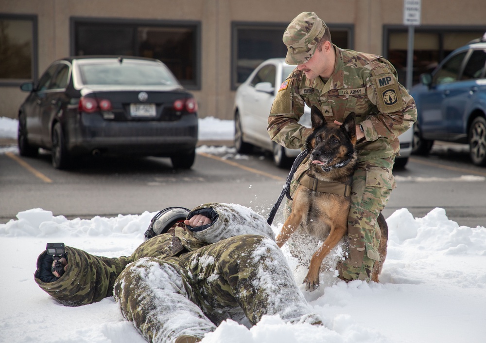 Military Working Dog Demonstration