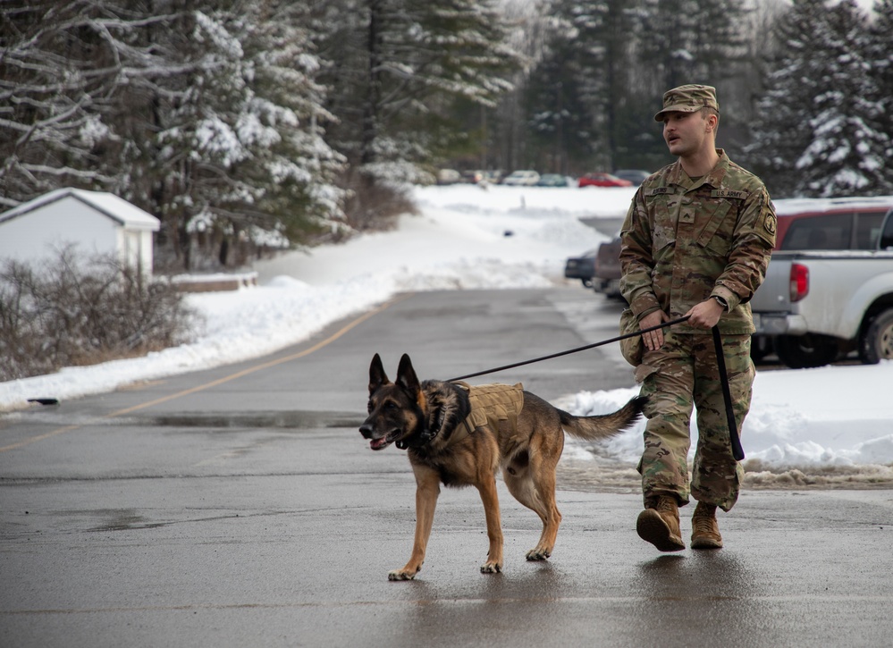 Military Working Dog Demonstration