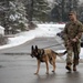 Military Working Dog Demonstration