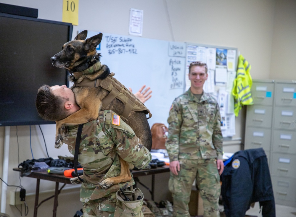 Military Working Dog Demonstration