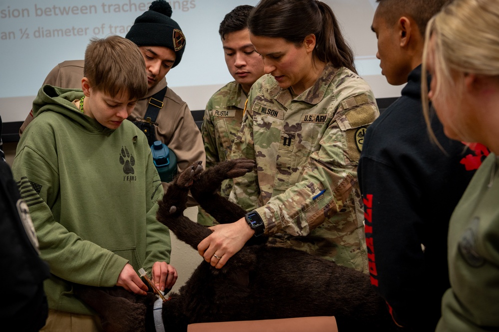 JBER veterinary readiness hosts K9 TCCC exercise to military and non-military working dog handlers