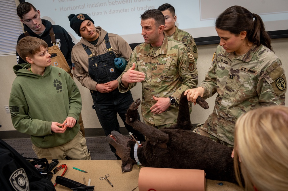 JBER veterinary readiness hosts K9 TCCC exercise to military and non-military working dog handlers