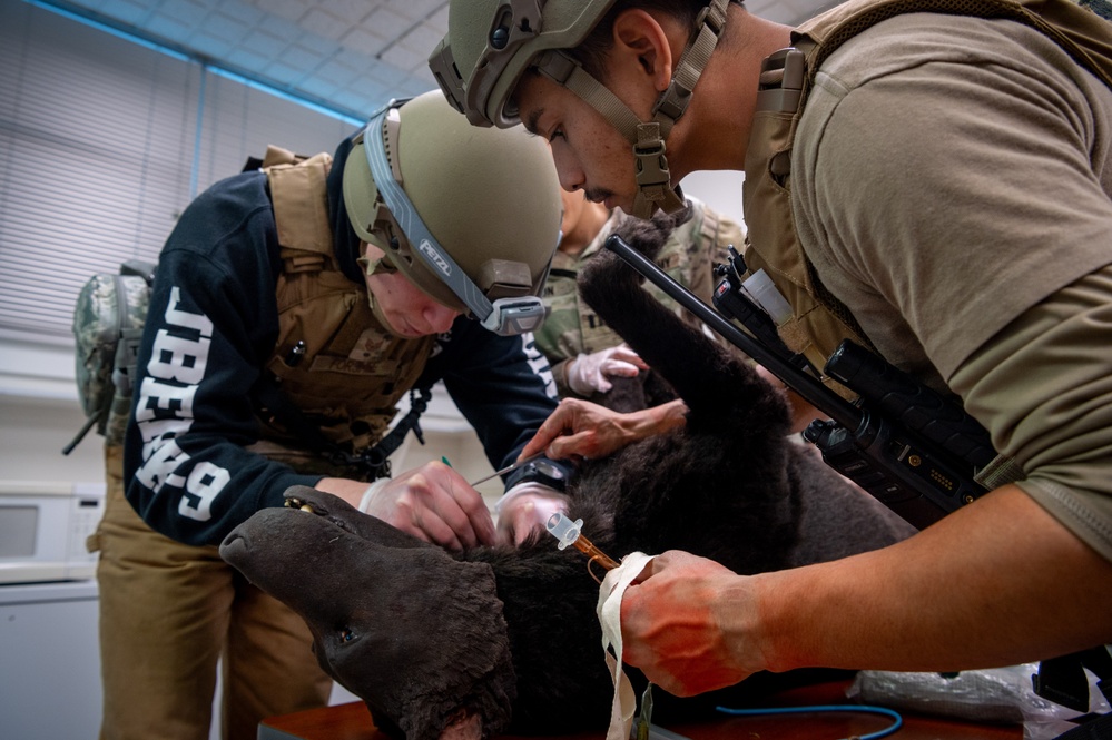 JBER veterinary readiness hosts K9 TCCC exercise to military and non-military working dog handlers