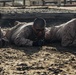 Delta Company Combat Conditioning