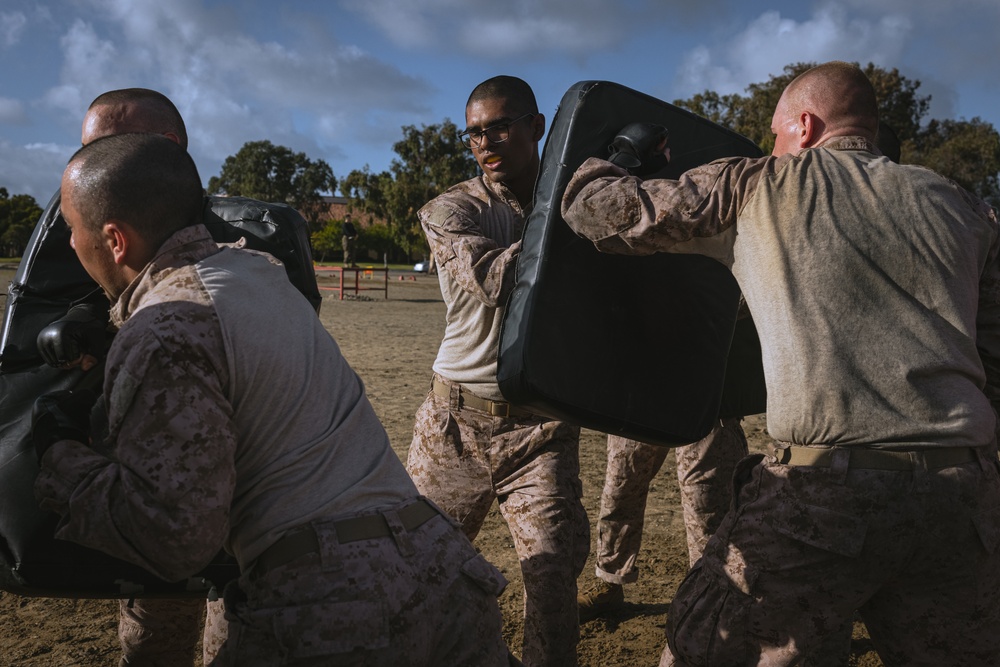 Delta Company Combat Conditioning