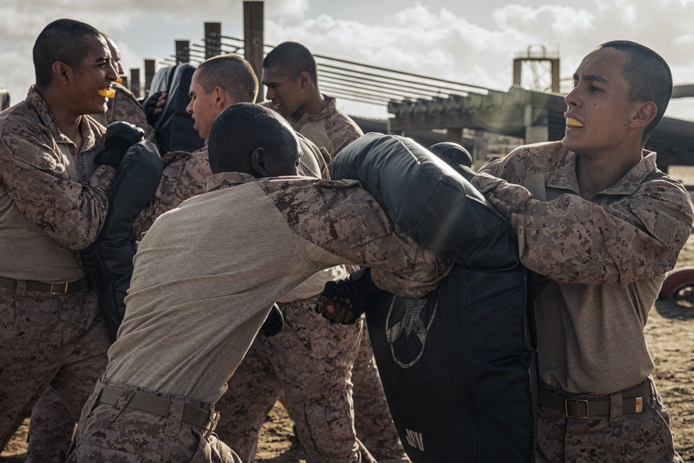 Delta Company Combat Conditioning