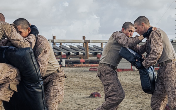 Delta Company Combat Conditioning