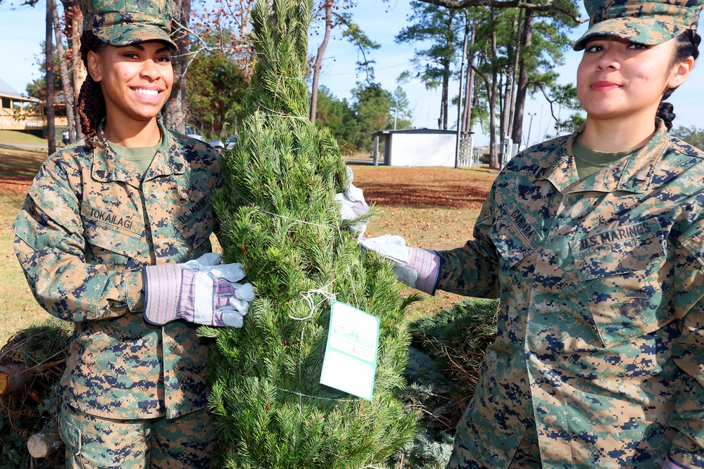 Trees for Troops