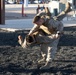 Marine Corps Martial Arts Instructor Course