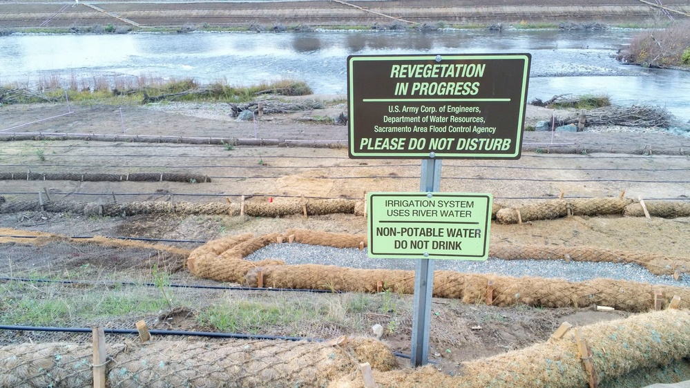 American River Levees Project - Contract 2