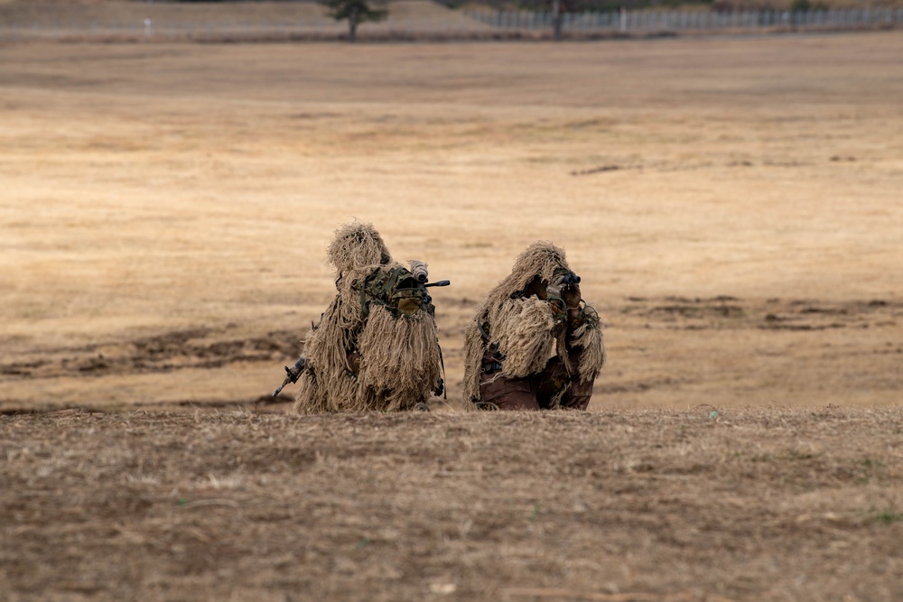 US, international airborne forces soar in annual New Year's Jump