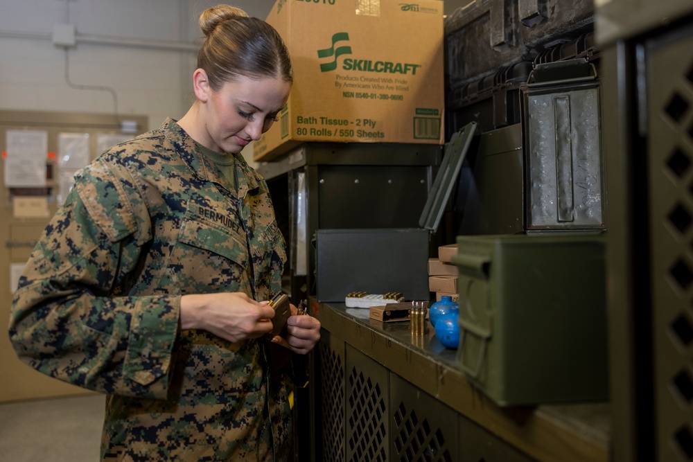 Lance Cpl. Bermudez; 2nd Marine Logistics Group Warrior of the Week