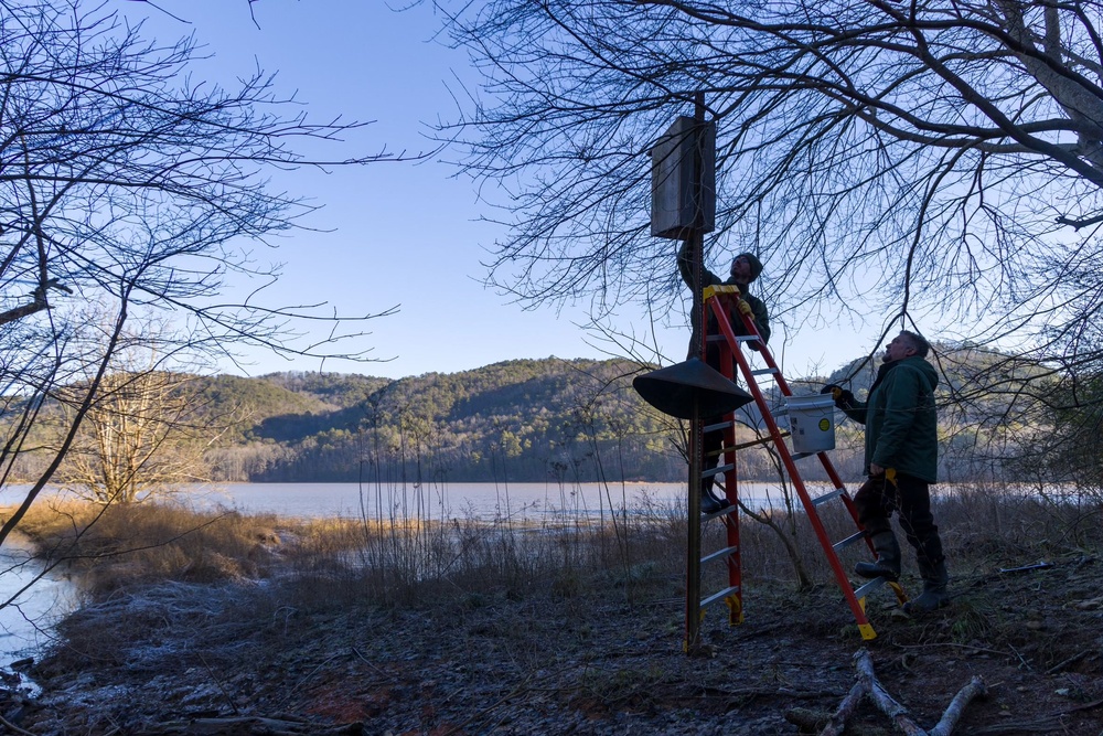 Park Rangers maintain Wood Duck habitats