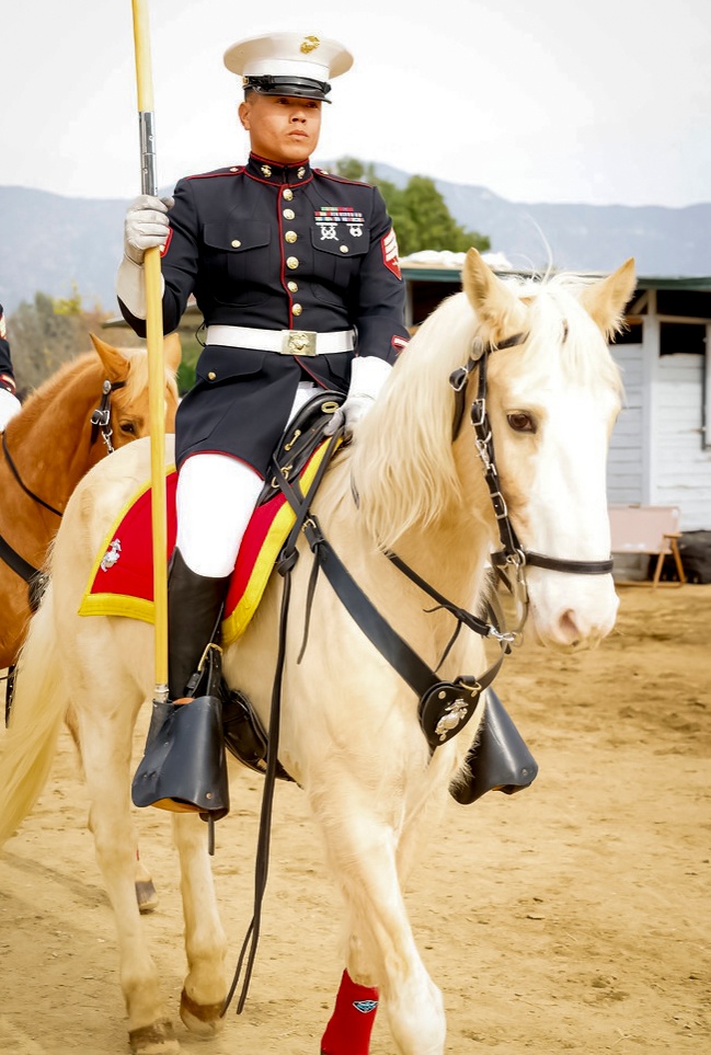 Sgt. Drumheller and the Marine Corps Mounted Color Guard