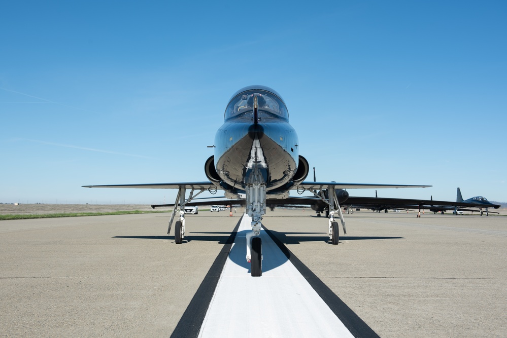 Beale AFB Elephant Walk