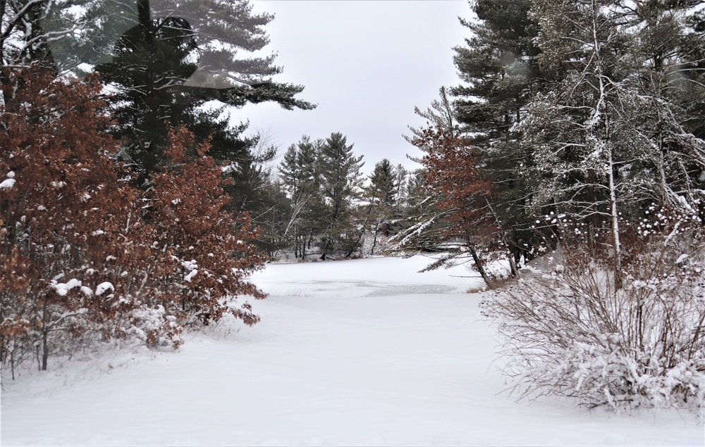 Cabins at Fort McCoy's Pine View Campground