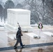 MLKJ Day 2024 at The Tomb of the Unknown Soldier