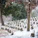 MLKJ Day 2024 at The Tomb of the Unknown Soldier