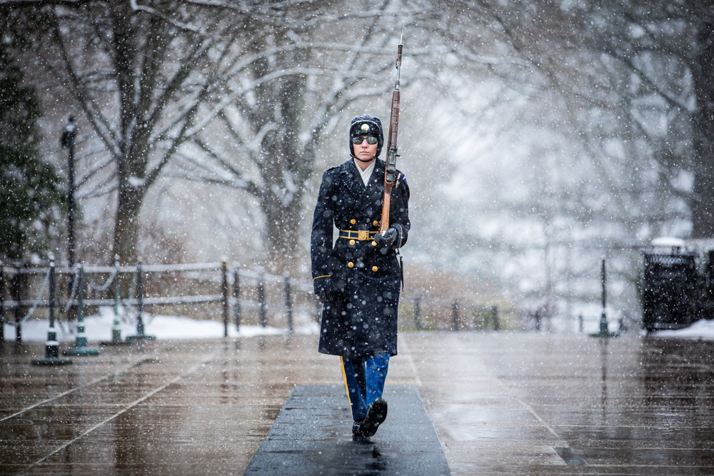MLKJ Day 2024 at The Tomb of the Unknown Soldier