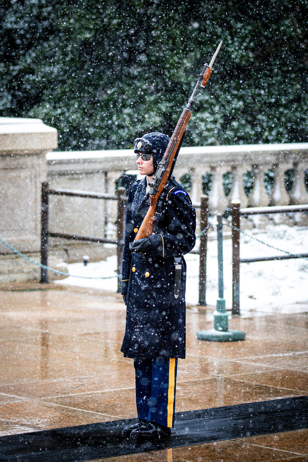 MLKJ Day 2024 at The Tomb of the Unknown Soldier