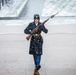 MLKJ Day 2024 at The Tomb of the Unknown Soldier