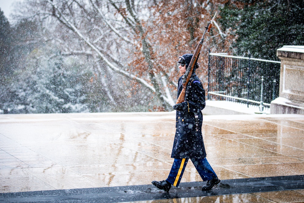 MLKJ Day 2024 at The Tomb of the Unknown Soldier