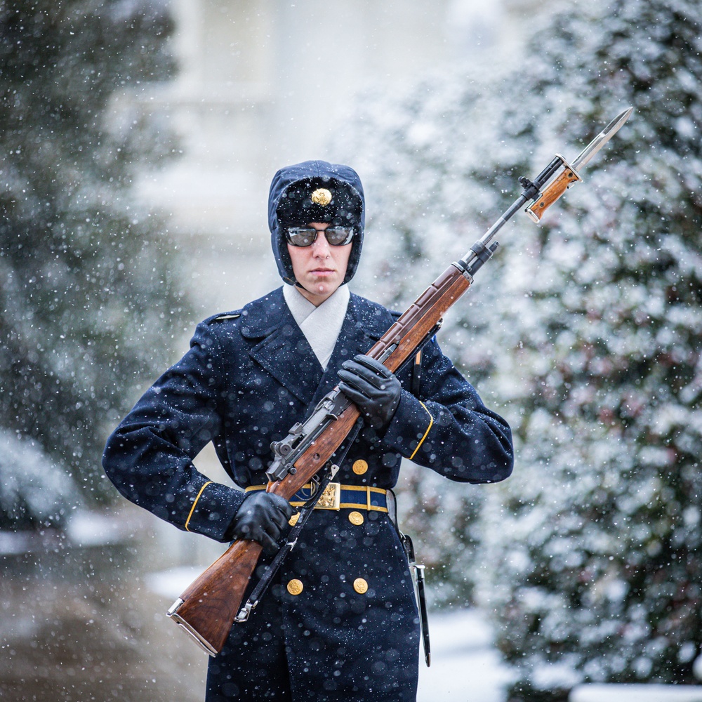 MLKJ Day 2024 at The Tomb of the Unknown Soldier