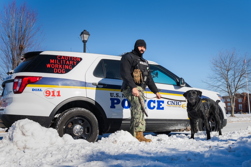 MAs, K9s Perform Exoplosive Detection Training