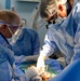 Pacific Partnership 2024-1: Surgery Aboard Mercy