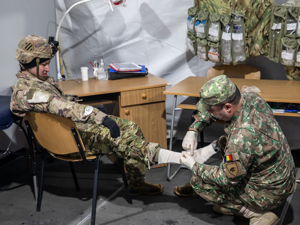 Task Force Marne and NATO Allies conduct medical mass casualty exercise