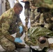 Task Force Marne and NATO Allies conduct medical mass casualty exercise