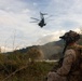 BLT 1/5 Conducts Ship-to-Shore Amphibious Raid at Camp Pendleton