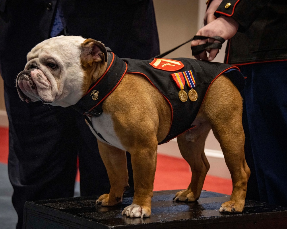 Chesty is Promoted to Lance Corporal!