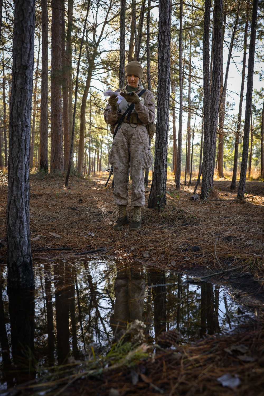 India Company Land Navigation