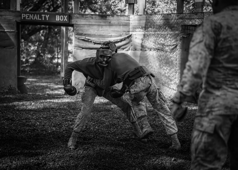 Alpha Company Crucible