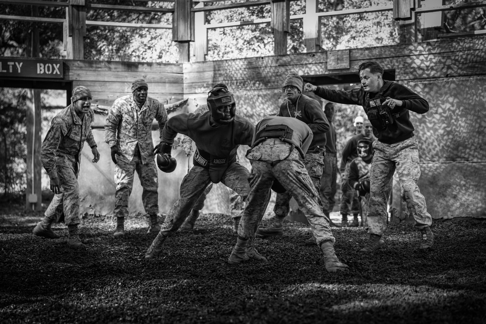 Alpha Company Crucible