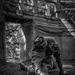 Alpha Company Crucible