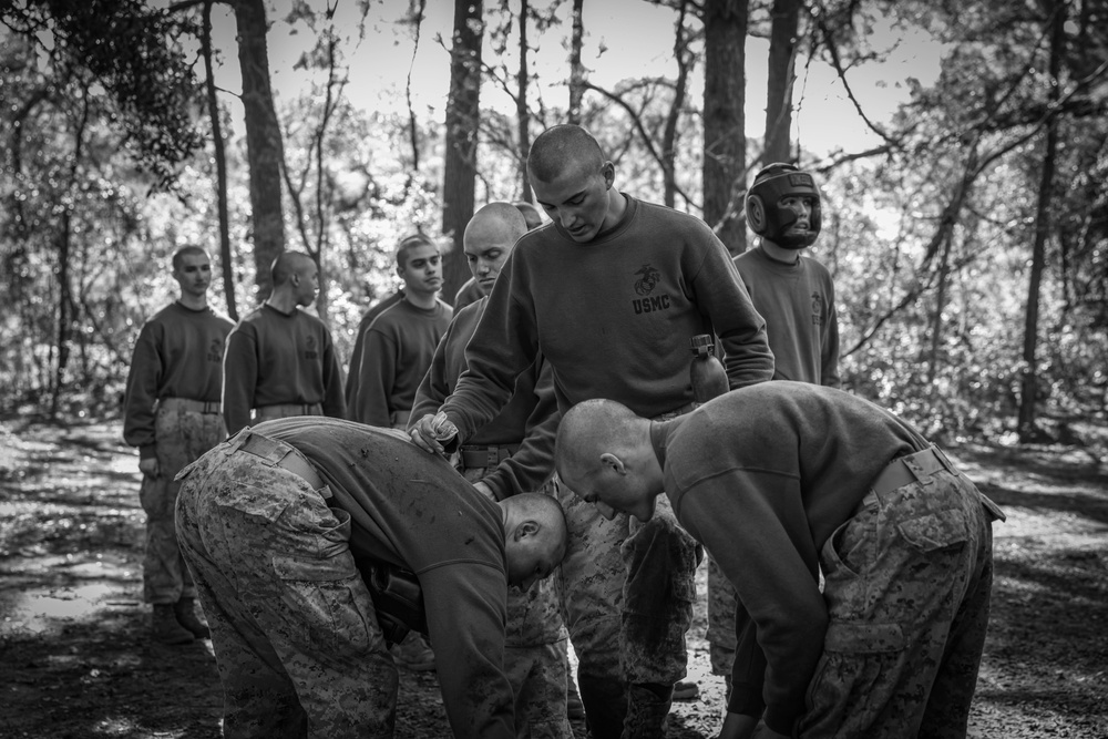 Alpha Company Crucible