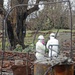 Workers in the “hot zone” clear debris in Lahaina, Hawai‘i