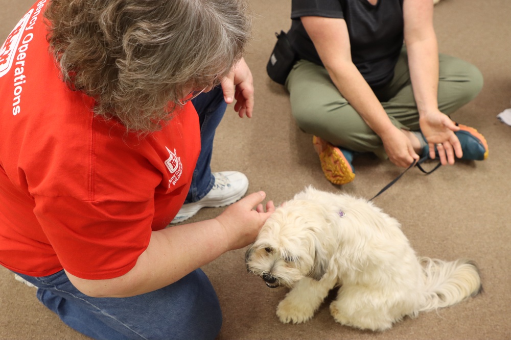 Therapy dogs visit Hawai‘i Wildfires Recovery Field Office