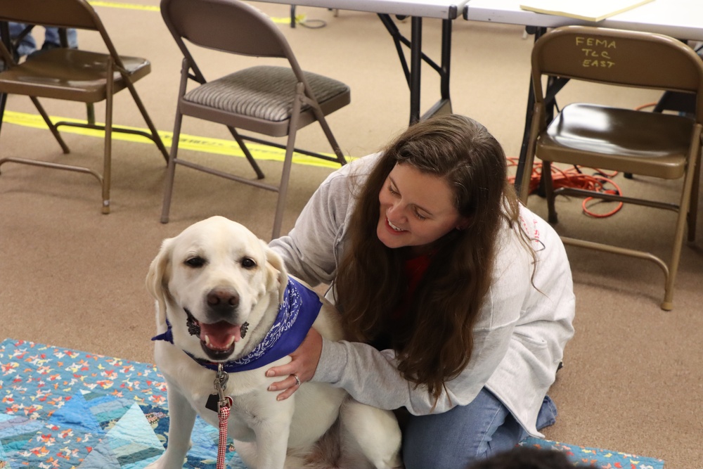 Therapy dogs visit Hawai‘i Wildfires Recovery Field Office