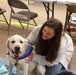 Therapy dogs visit Hawai‘i Wildfires Recovery Field Office