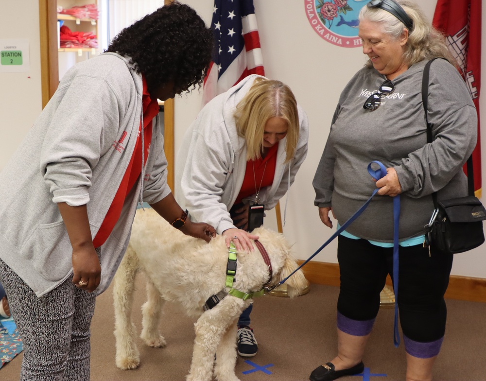 Therapy dogs visit Hawai‘i Wildfires Recovery Field Office