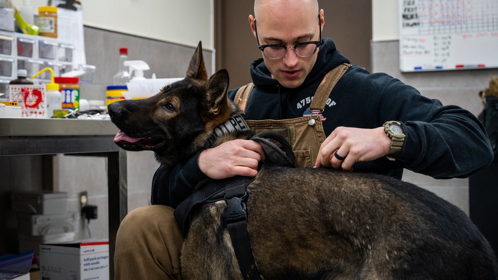 Off the leash: 8th SFS MWDs begin disposition