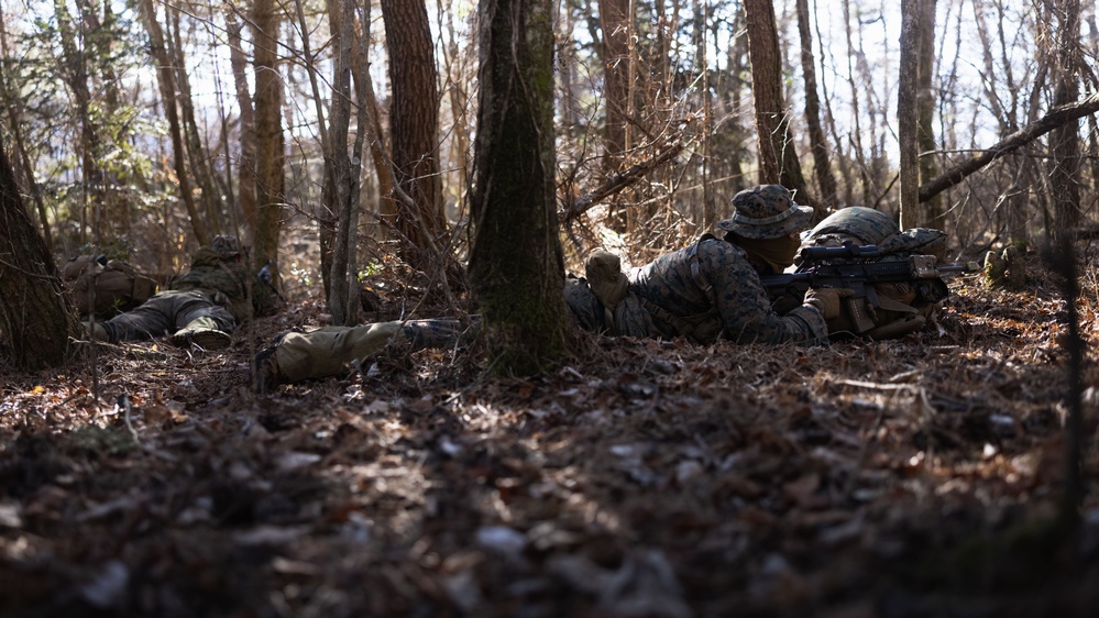 DVIDS - Images - 3d Recon RCERT Hide Site Operations [Image 4 of 7]