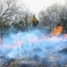 Beneath the smoke of Laughlin’s controlled burn