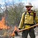 Beneath the smoke of Laughlin’s controlled burn